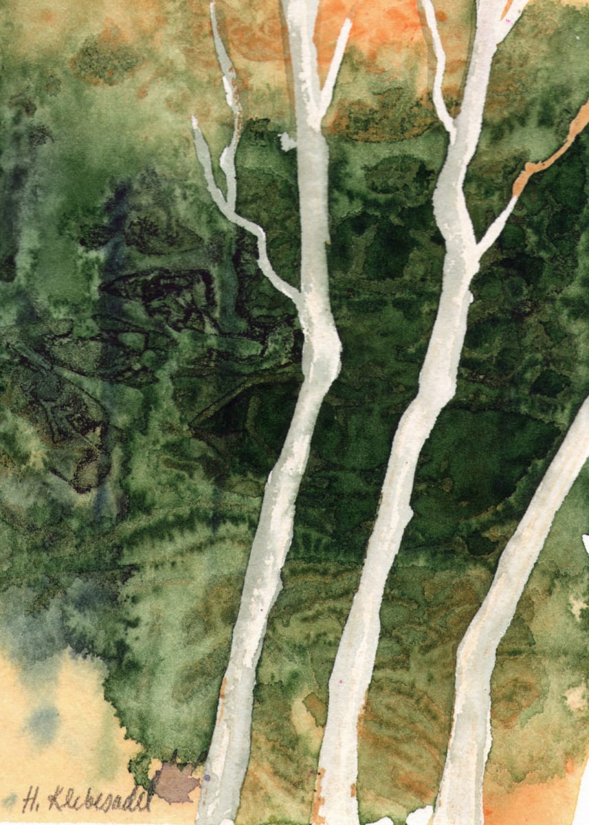 Birches II an original watercolor by Helen R Klebesadel 