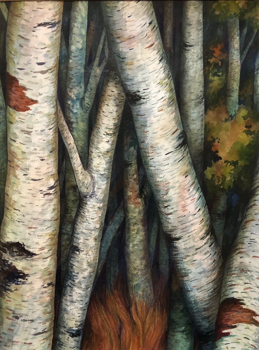 Birches III an original watercolor 