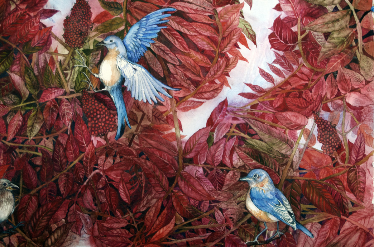 Bluebirds Love Sumac I by Helen R Klebesadel 