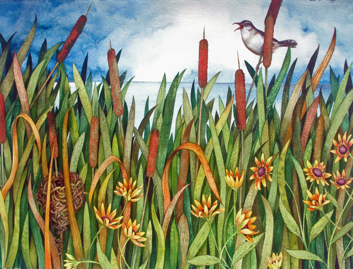 Cattails and Marsh Wren by Helen R Klebesadel 