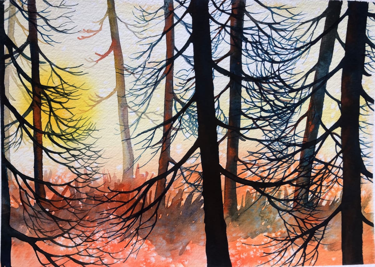 Cedar Sunset III, Image 1.