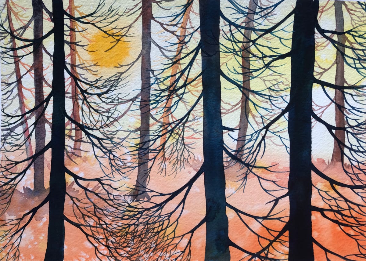 Cedar Sunset II by Helen R Klebesadel, Image 1.