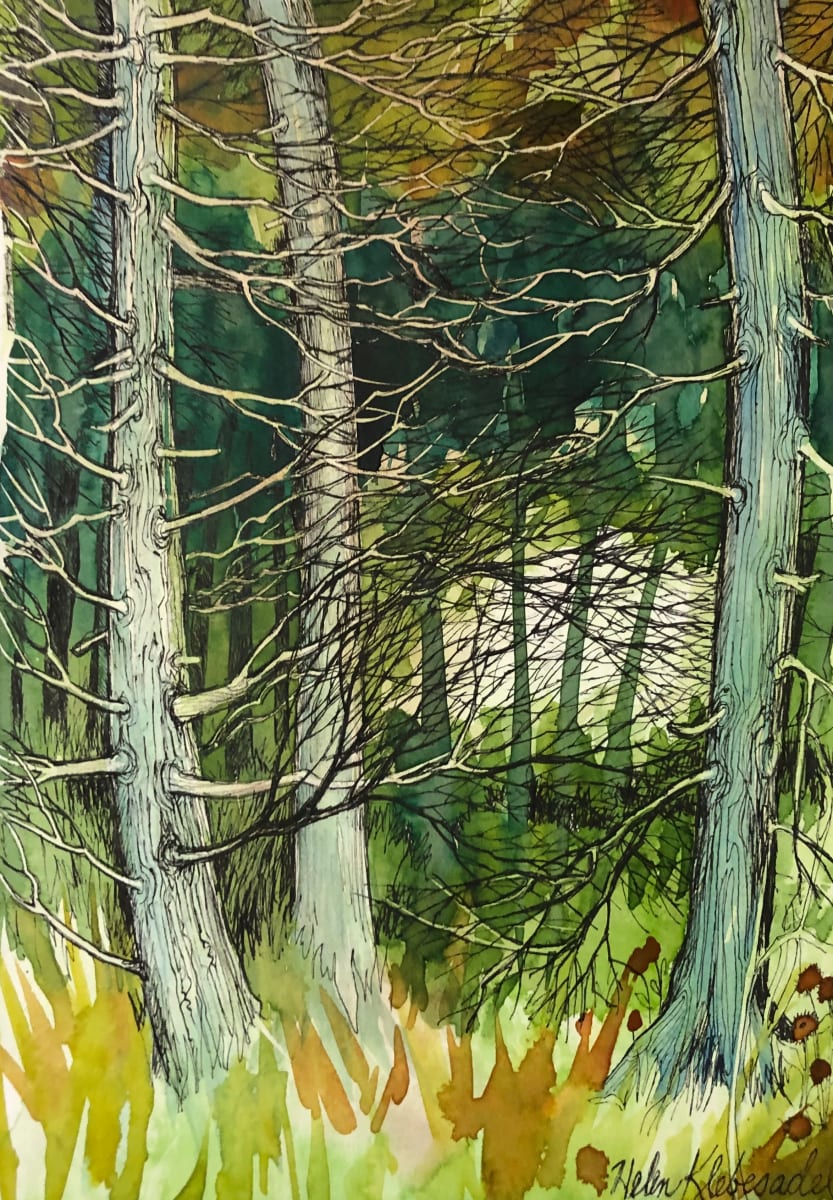 Cedar Path - Drawing A Day #33 by Helen R Klebesadel 