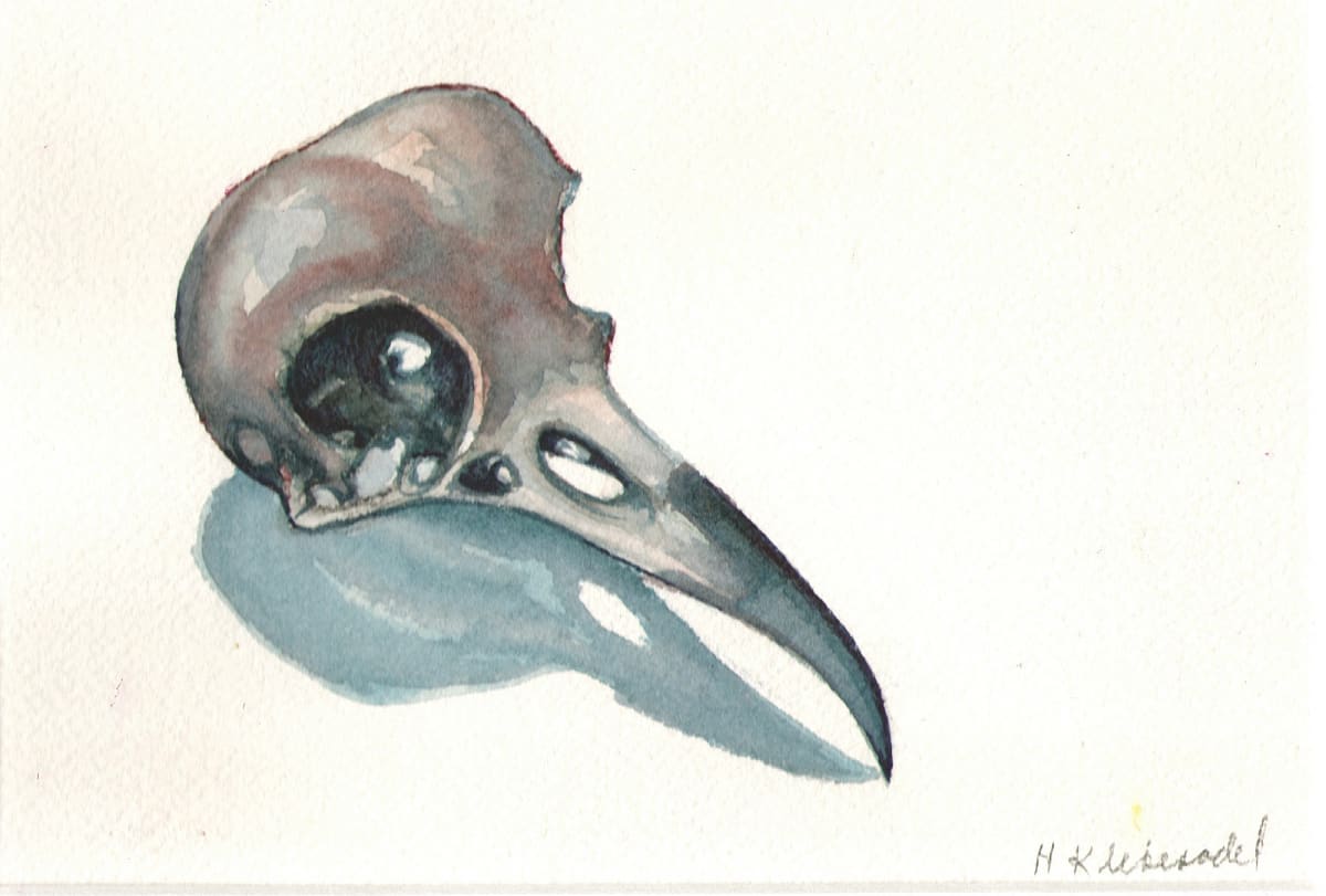 Crow Skull by Helen R Klebesadel 