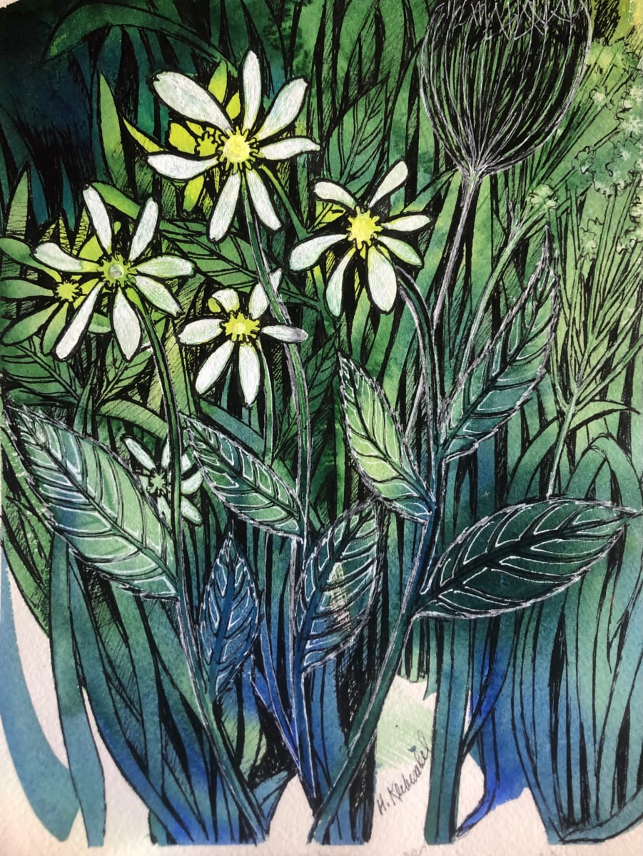 Daisies -Drawing a Day #63 by Helen R Klebesadel 