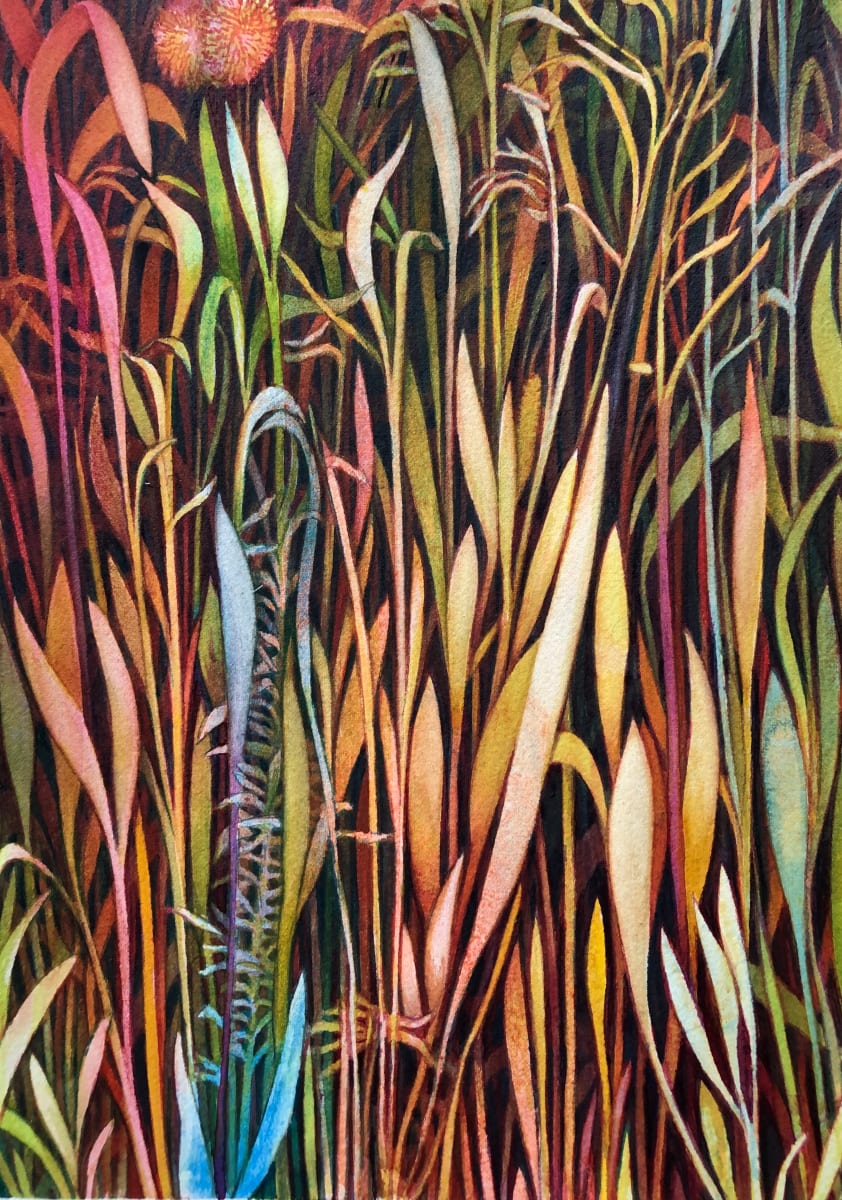 Fall Grasses by Helen R Klebesadel 