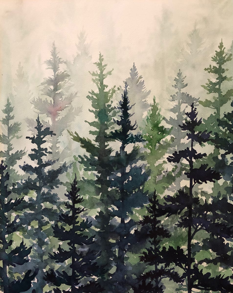Fir Forest in Mist by Helen R Klebesadel 