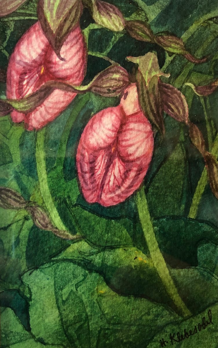 Pink Lady's Slipper (Moccasin Flower) III by Helen R Klebesadel 
