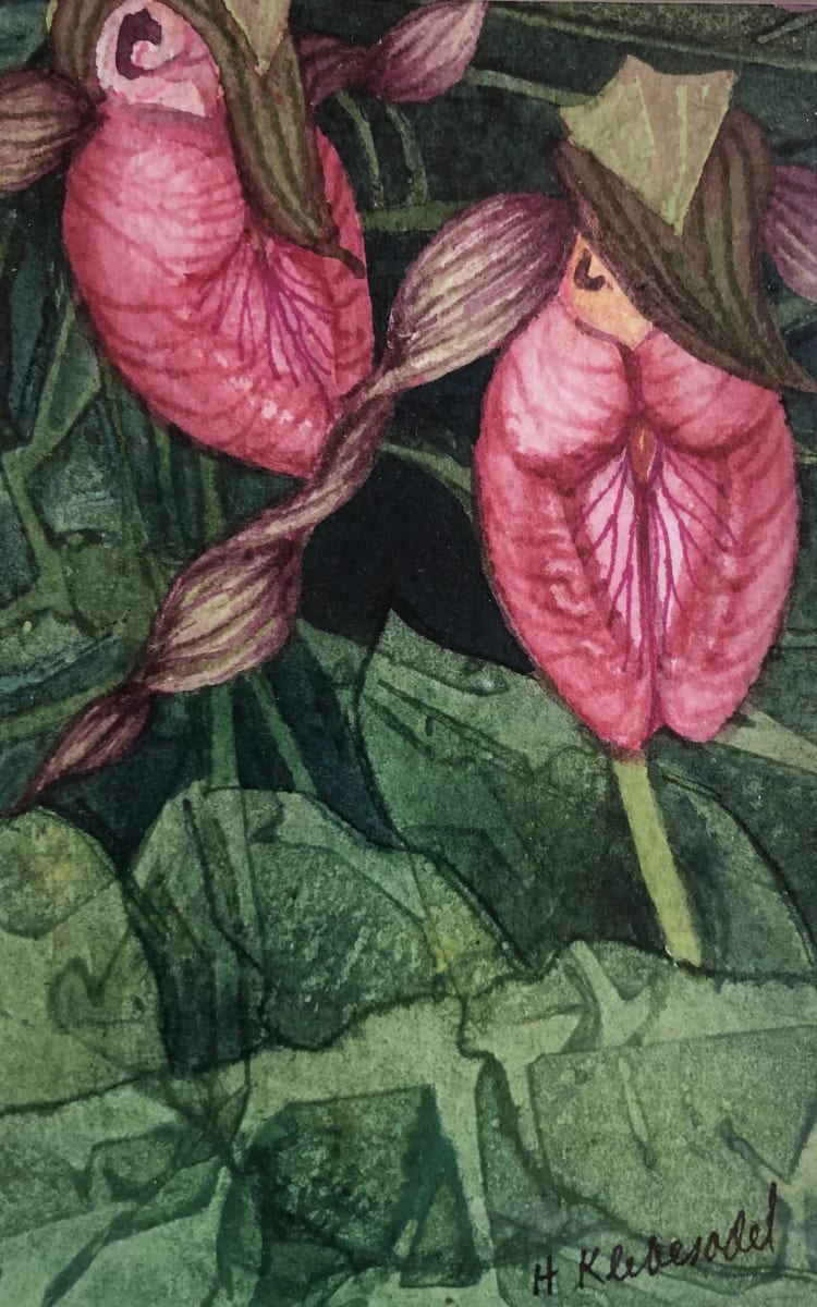 Pink Lady's Slipper (Moccasin Flower) I by Helen R Klebesadel 