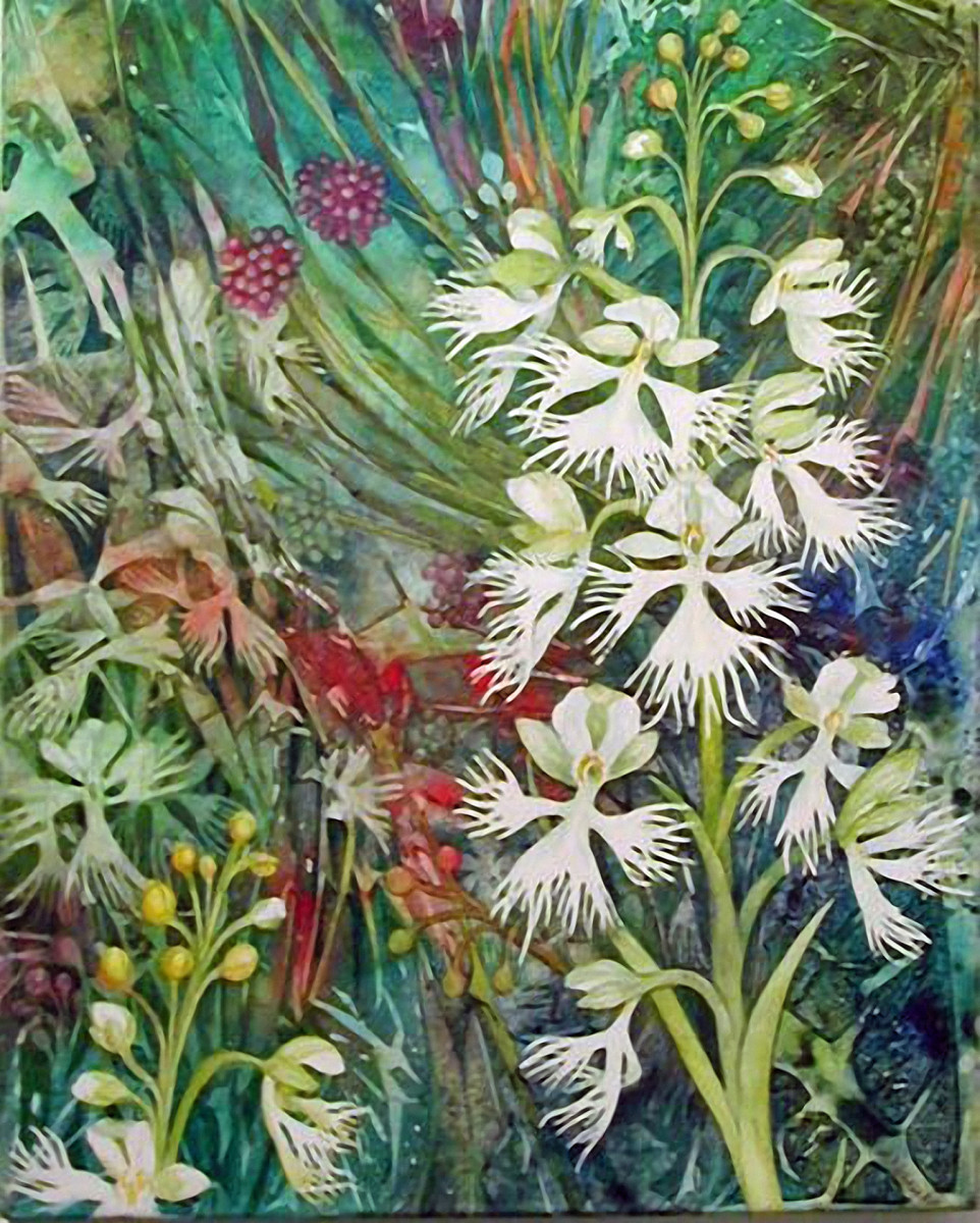 Fringed Prairie Orchid an original watercolor on canvas by Helen R Klebesadel 