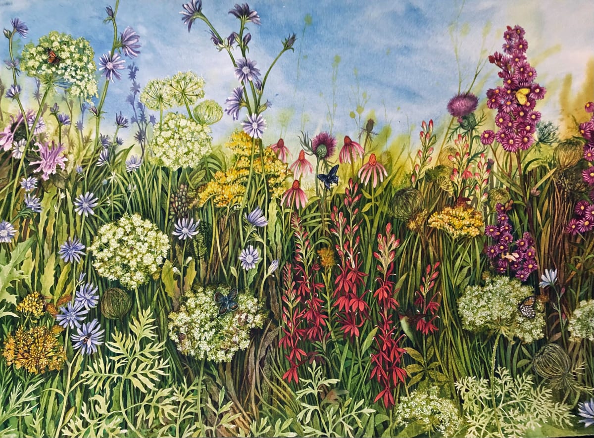 High Summer Prairie II an original watercolor by Helen R Klebesadel 