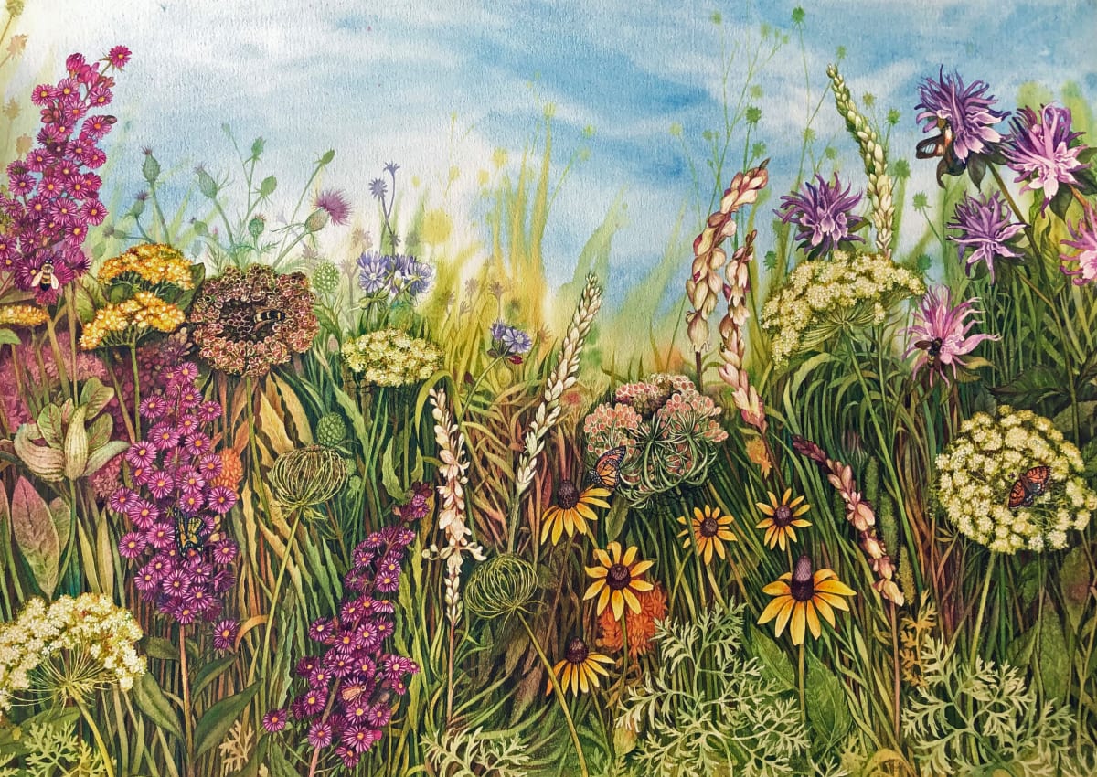 High Summer Prairie I an original watercolor by Helen R Klebesadel 