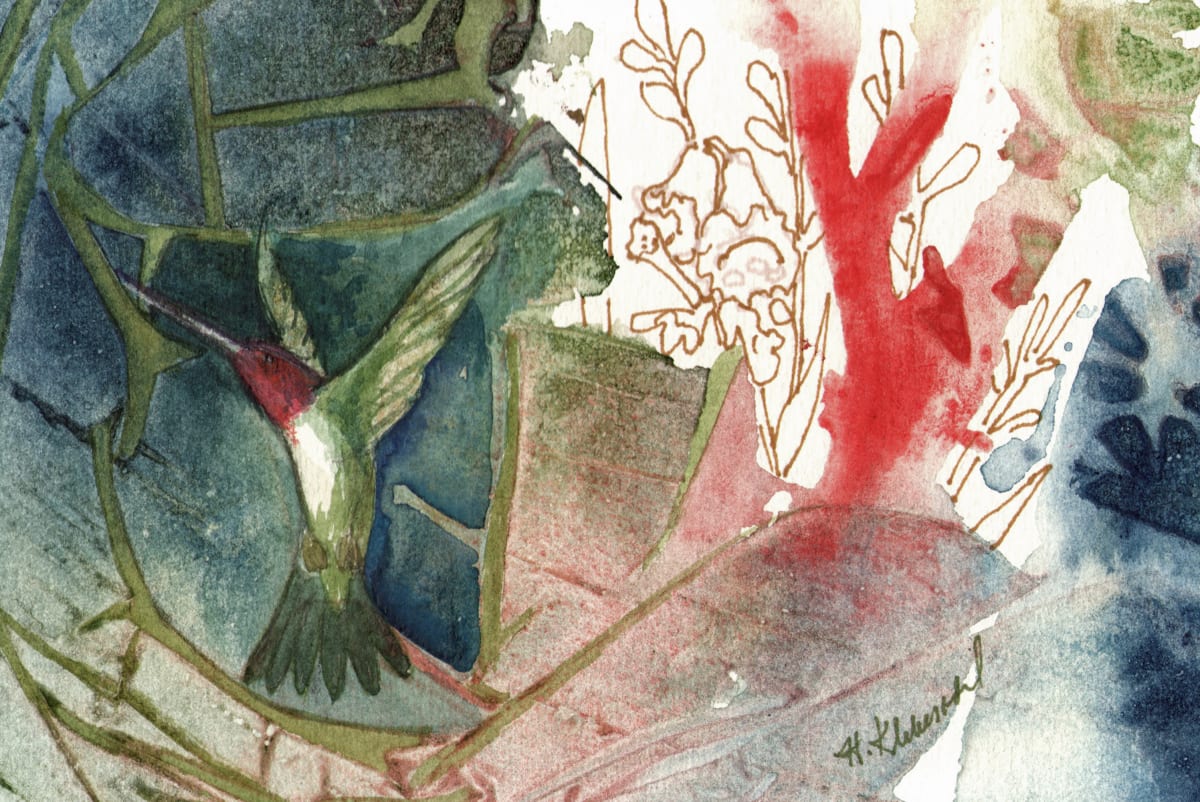 Humminbird Study an original watercolor framed by Helen R Klebesadel 