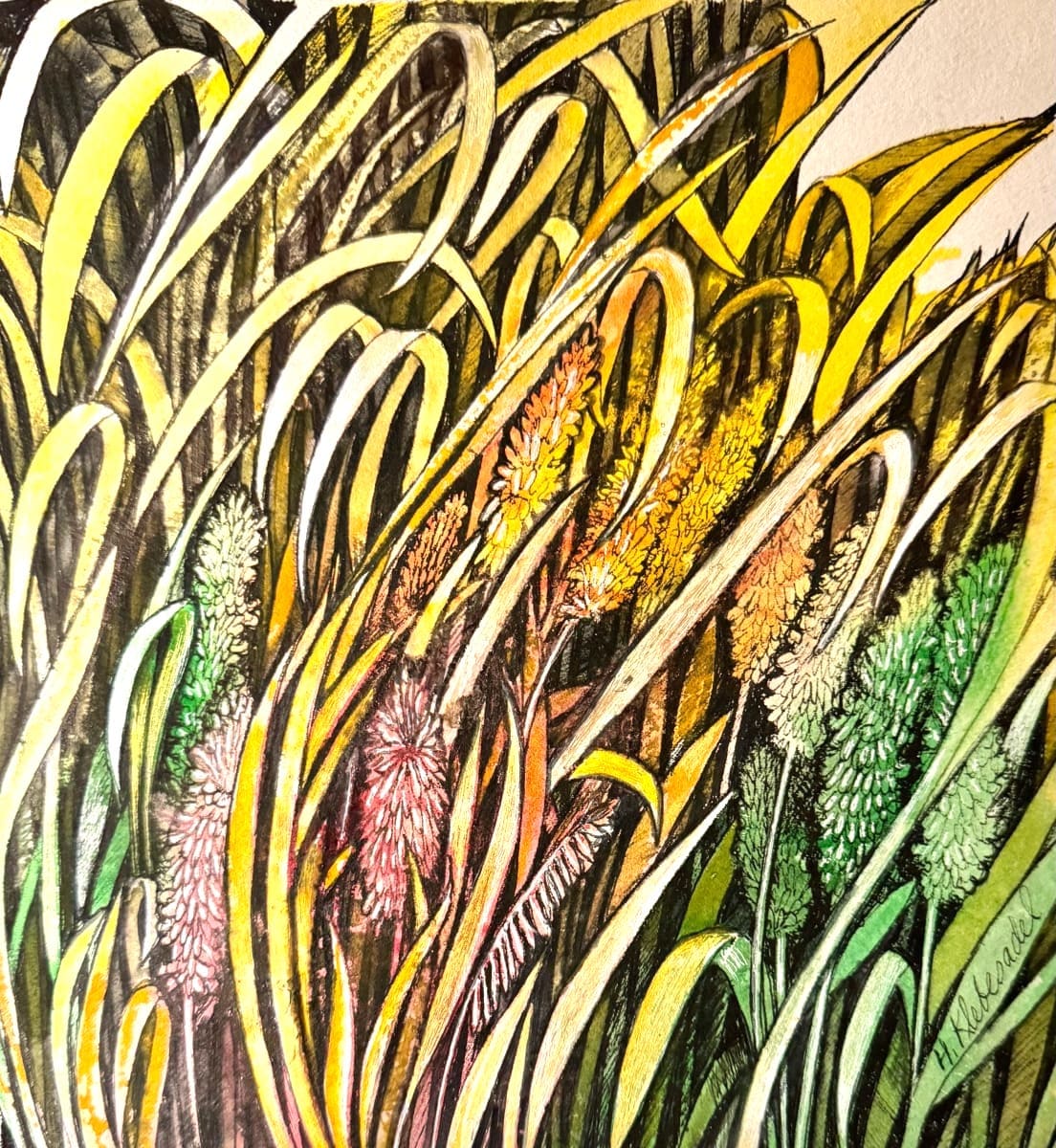 Summer Grasses - Drawing a Day 214 by Helen R Klebesadel 