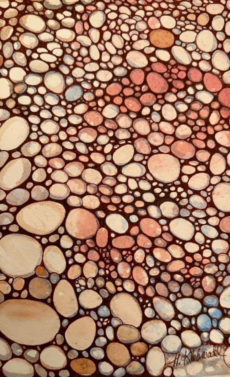 Pebbles, Pebbles, Everywhere II- Drawing a Day #243 by Helen R Klebesadel 