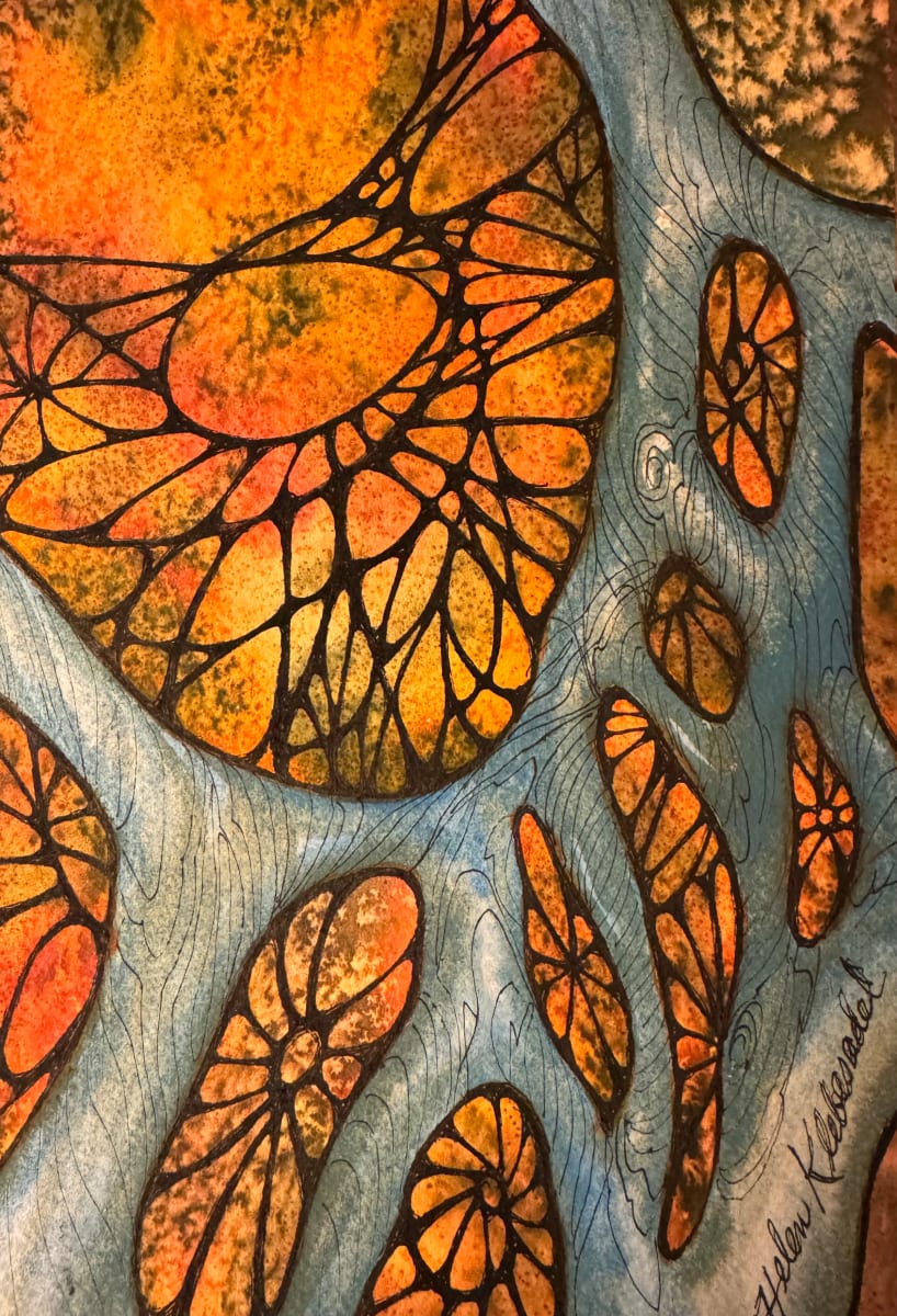 Roots and Webs II- Drawing a Day #247 by Helen R Klebesadel 