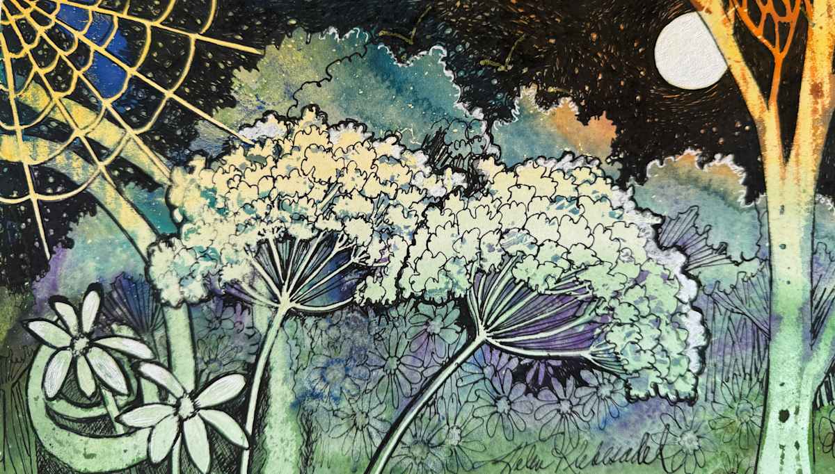 Web, Moon, and Queen Anne's Lace II-Drawing a Day #276 by Helen R Klebesadel 