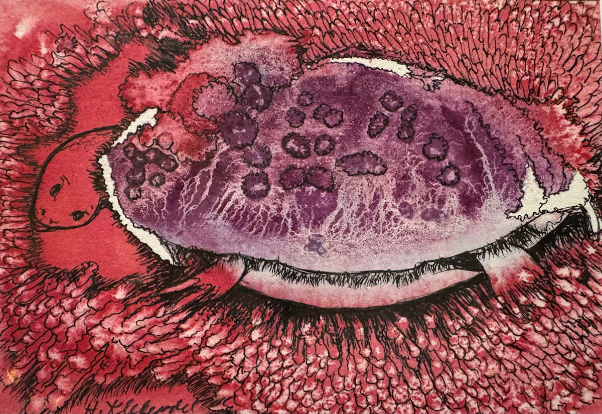 Turtle Island -Drawing a Day # 329 by Helen R Klebesadel 