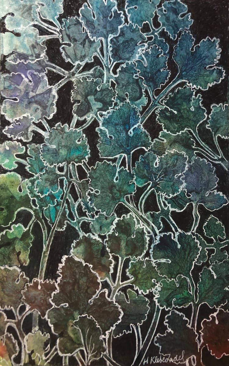 Cilantro Dance -Drawing a Day #66 by Helen R Klebesadel 