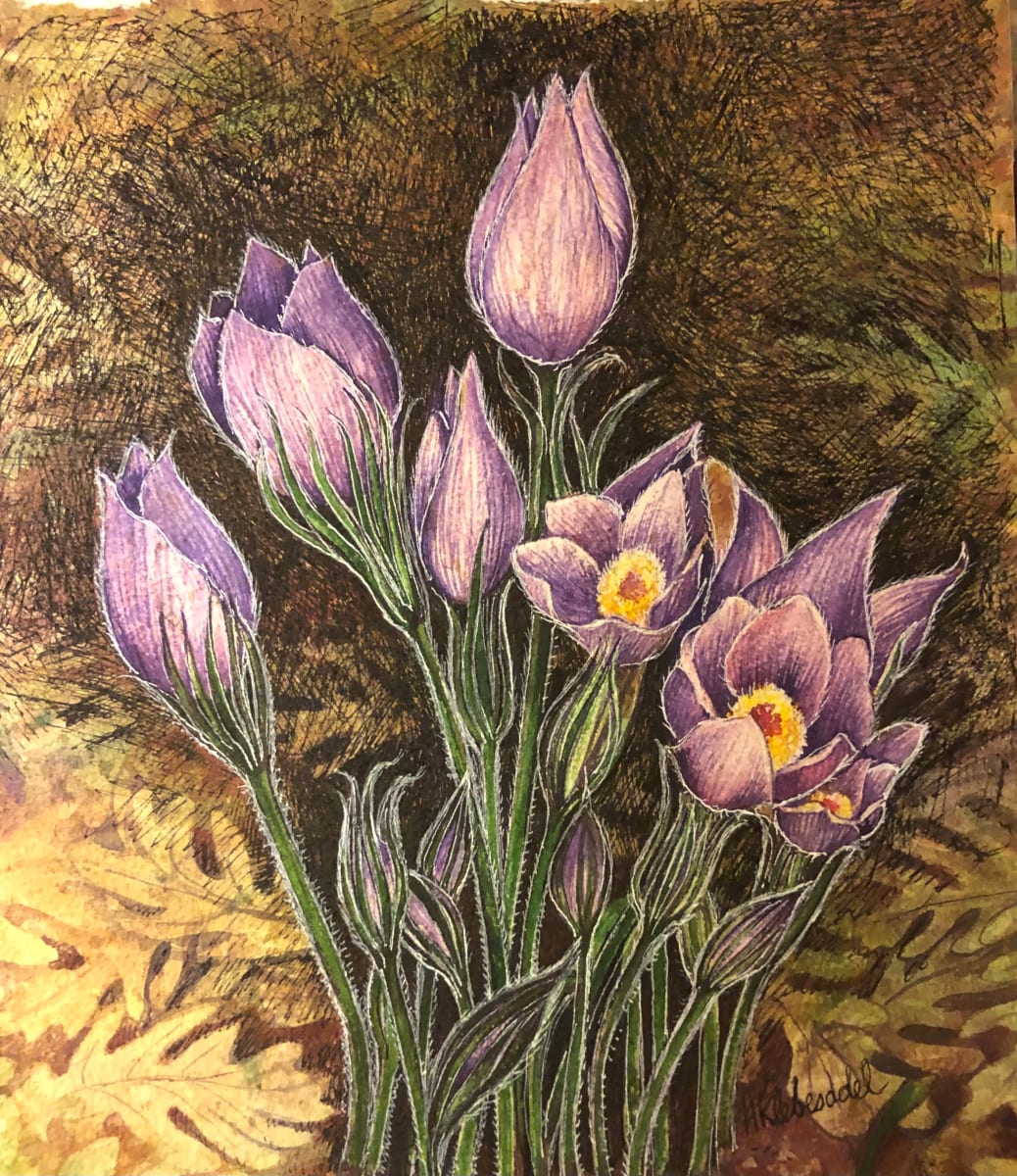 Pasque Flowers - Drawing a Day #70 by Helen R Klebesadel 