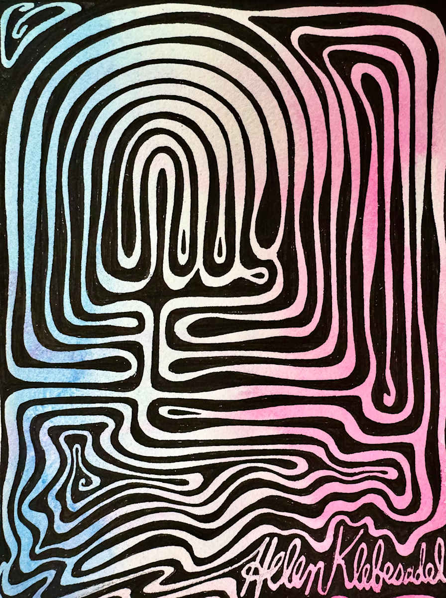 Amaze- Drawing a Day #351 by Helen R Klebesadel 