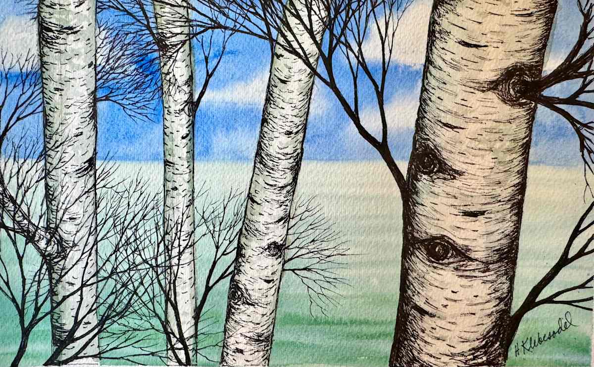 Birches By The Water II- Drawing a Day #364 by Helen R Klebesadel 