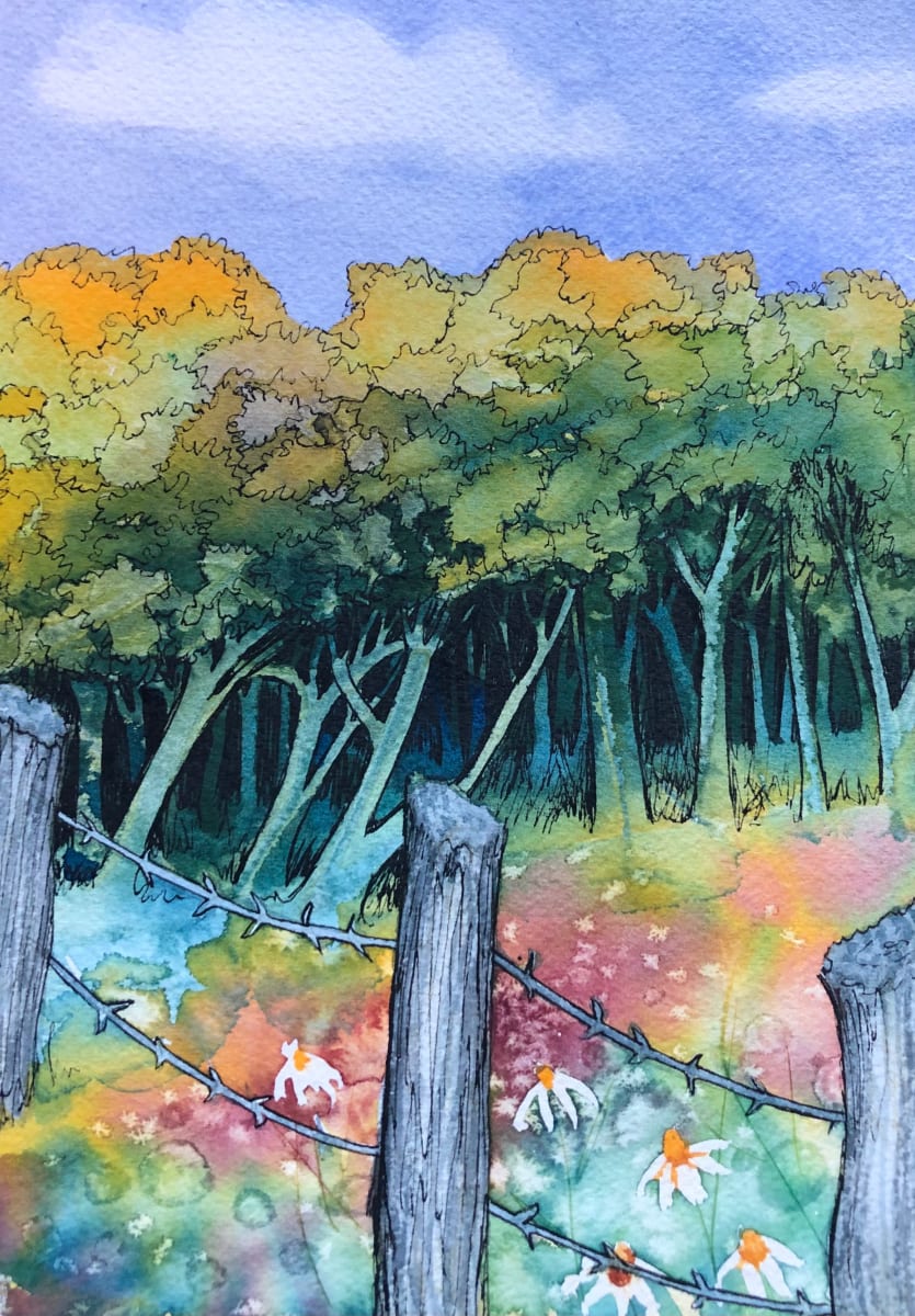 Meadow Fence and Daisies - Drawing A Day #113 by Helen R Klebesadel 