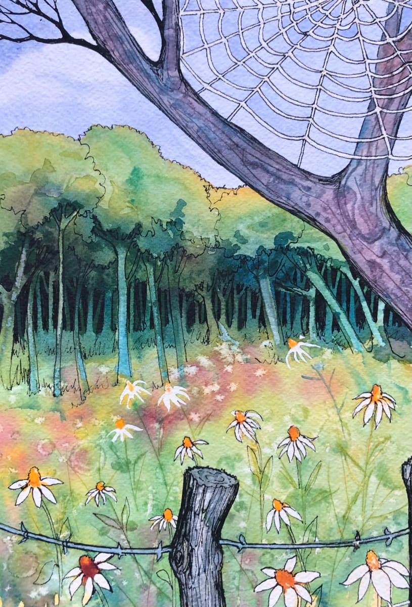 Spider Web and Pasture - Drawing a Day #112 by Helen R Klebesadel 