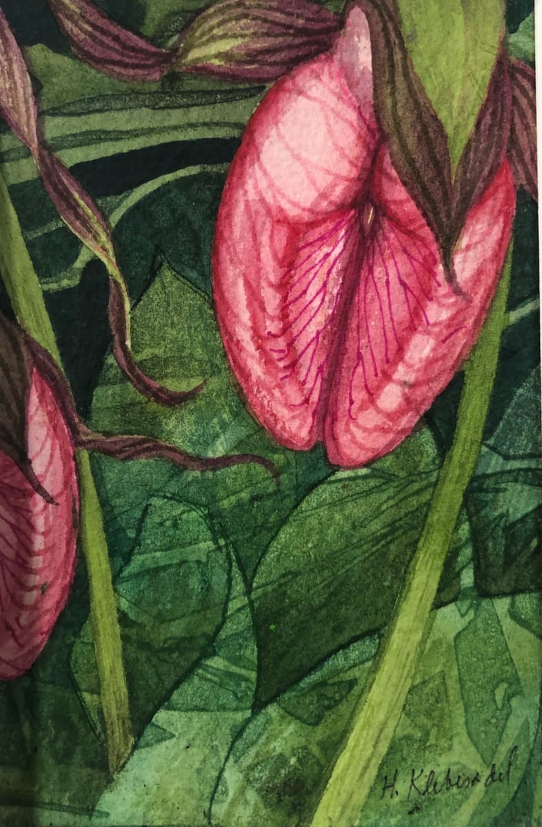 Wild Orchid VIII by Helen R Klebesadel 