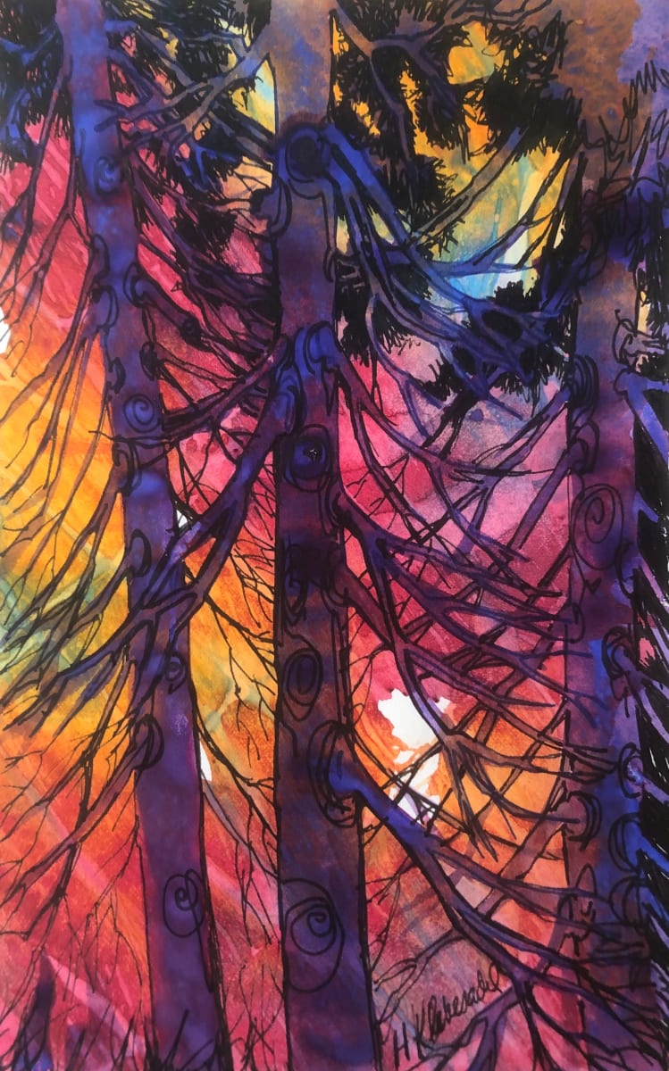 Cedars in Light -Drawing a Day #134 by Helen R Klebesadel 