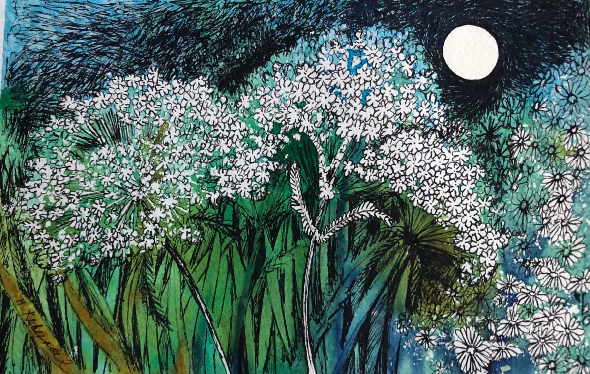 Queen Anne's Lace Moon II - Drawing a Day #139 by Helen R Klebesadel 