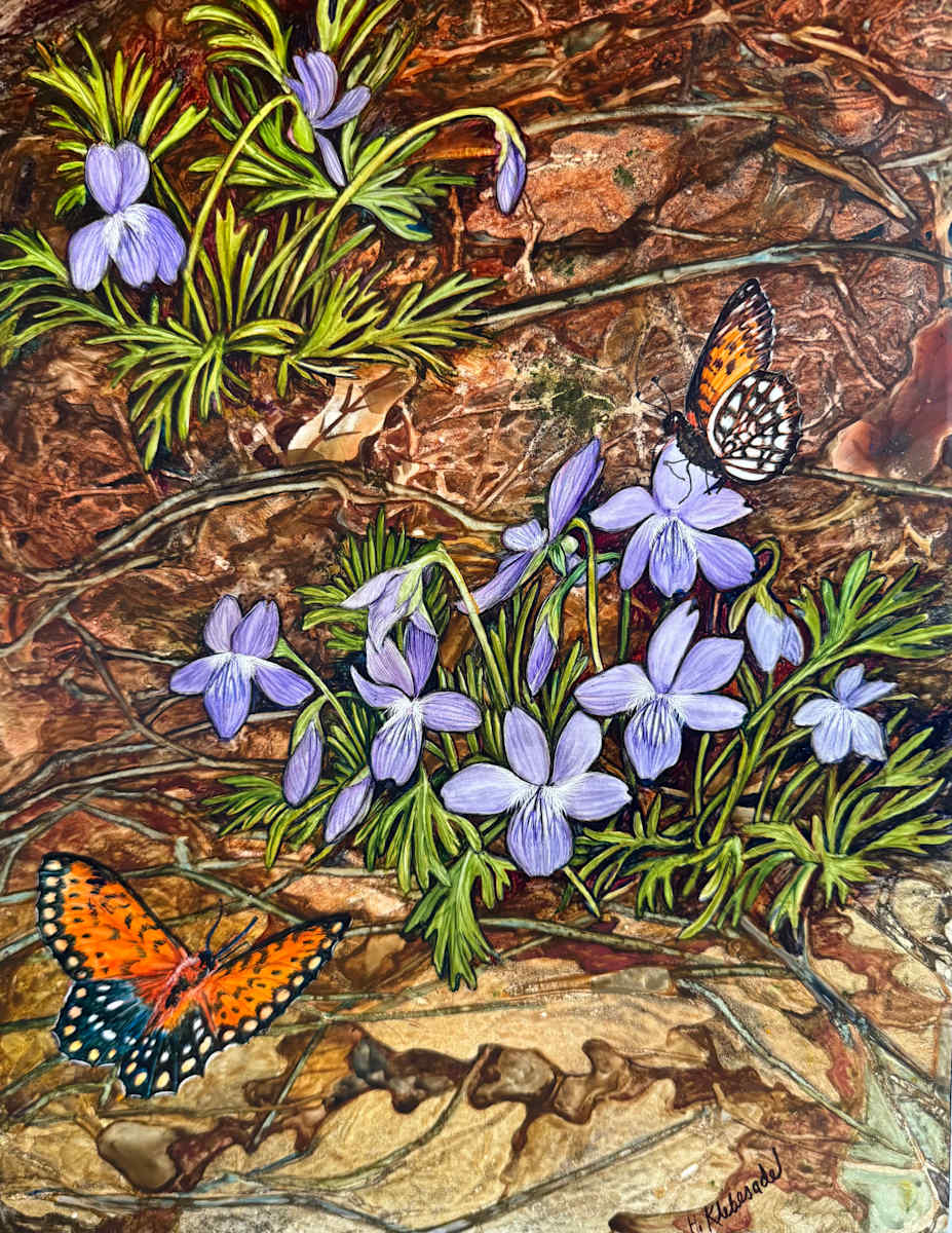 Greeting Card -Prairie Violet and Frilitary by Helen R Klebesadel 