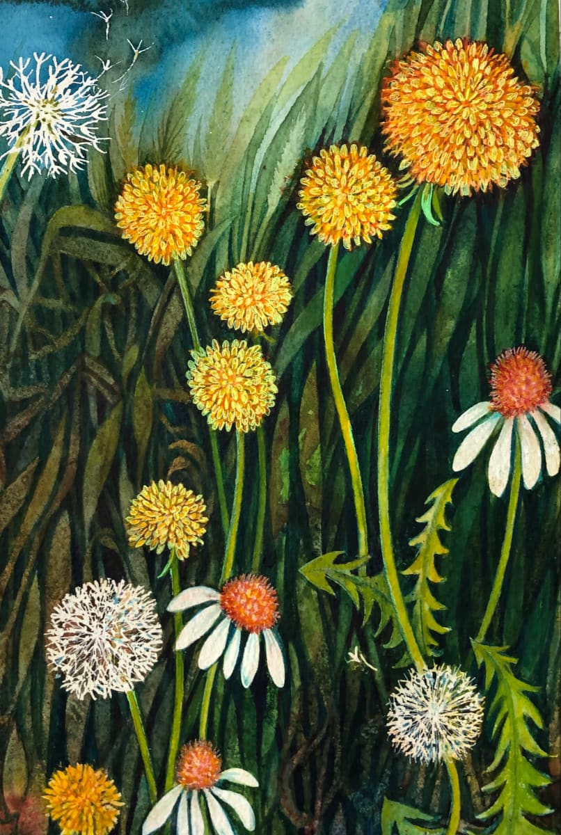 Dandelions II, Image 1.