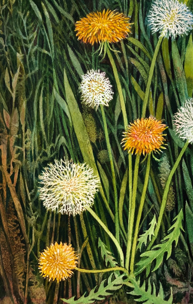 Dandelion I by Helen R Klebesadel 