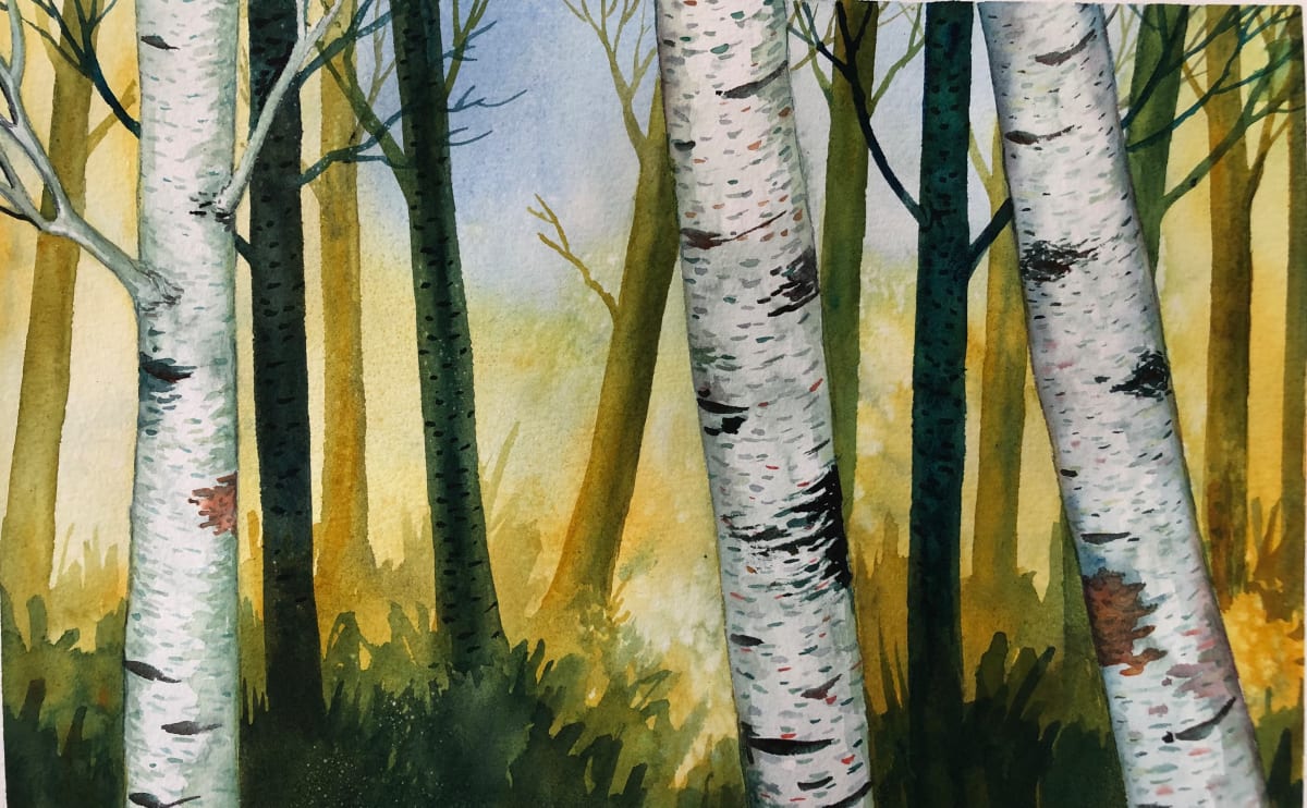 Birch Woods VI 