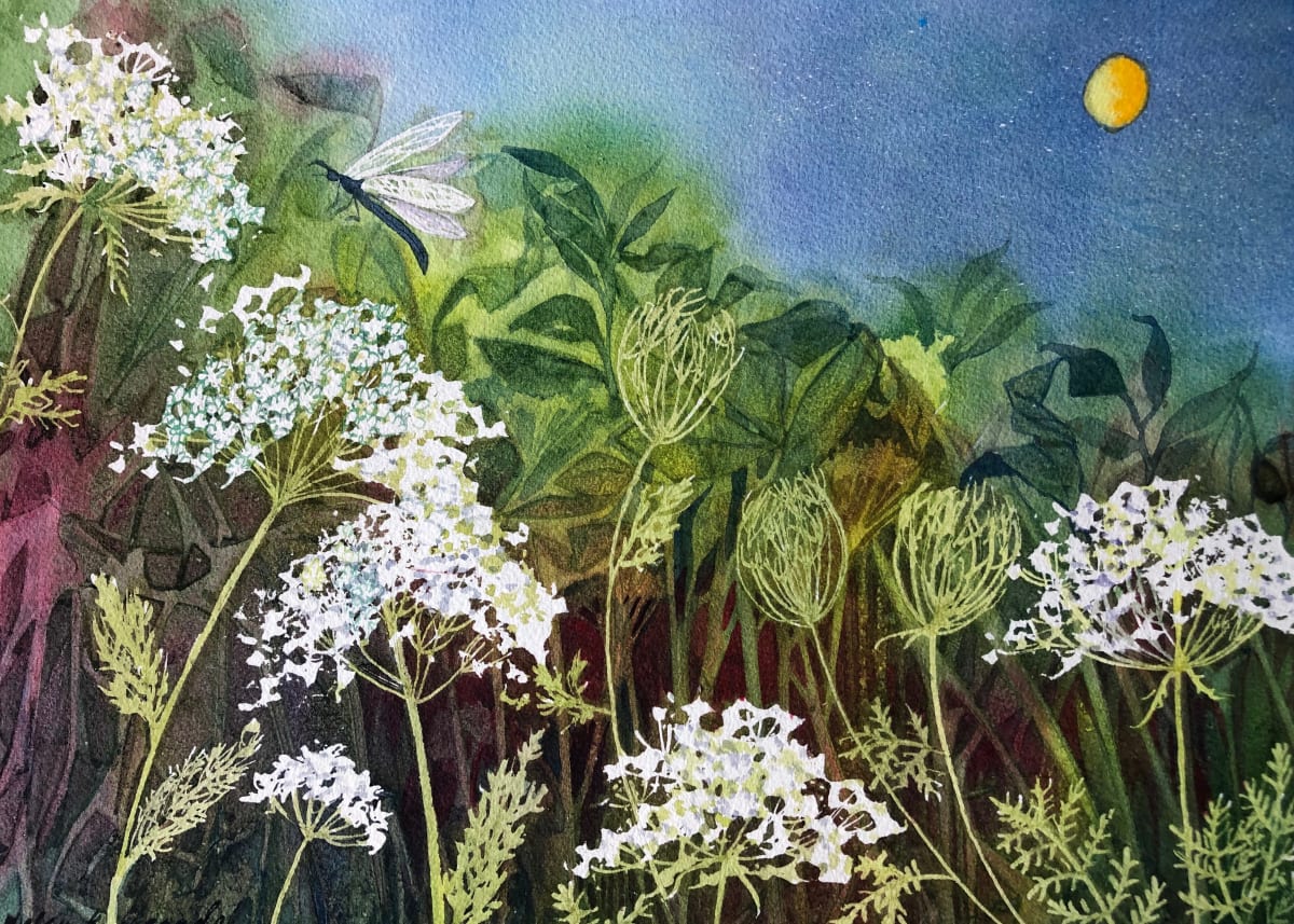 Queen Anne's Lace at Night Study 