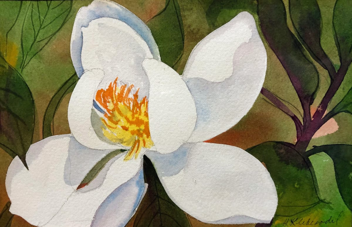 Magnolia Study by Helen R Klebesadel 