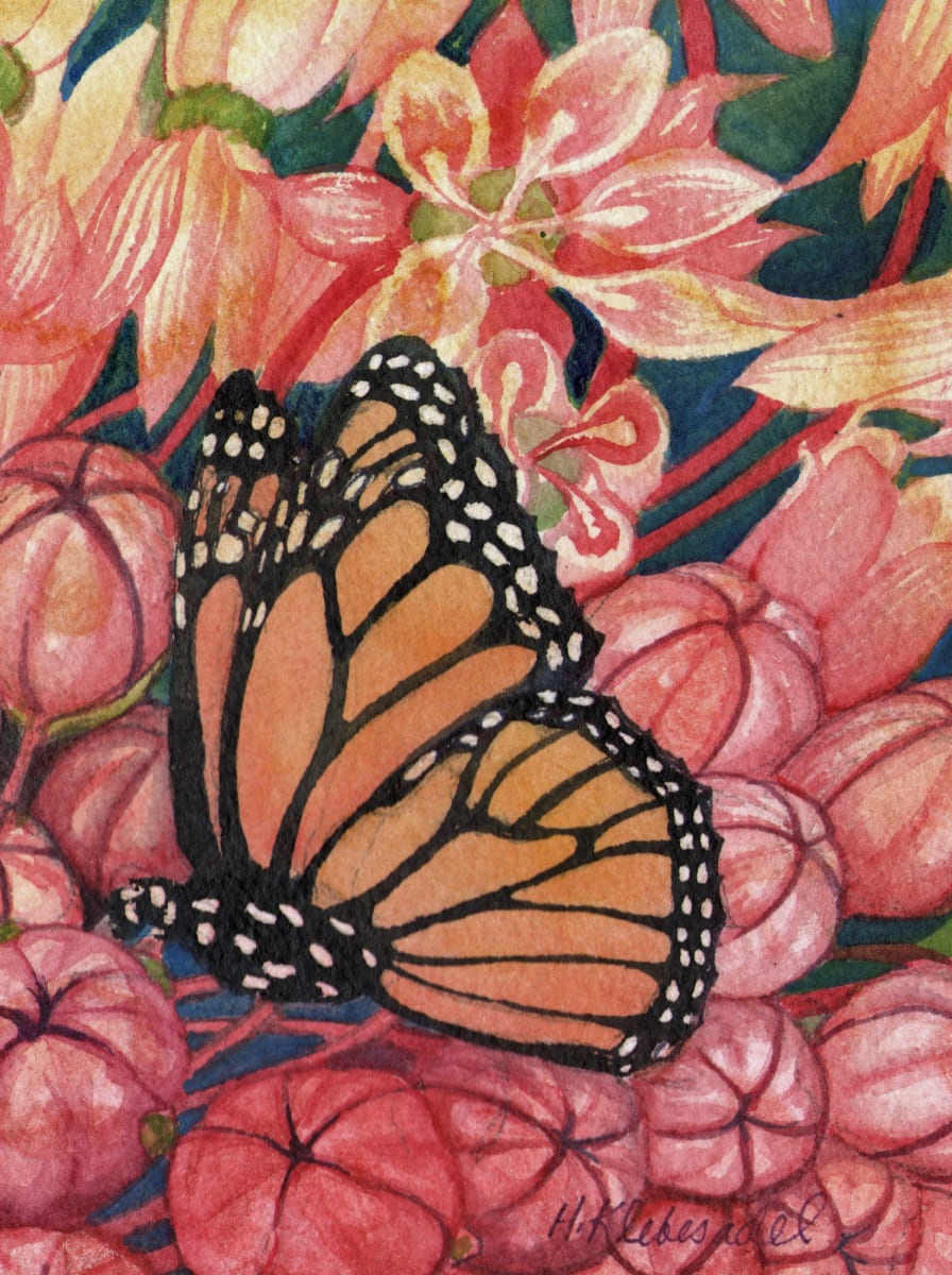 Monarch Study an original watercolor by Helen R Klebesadel 