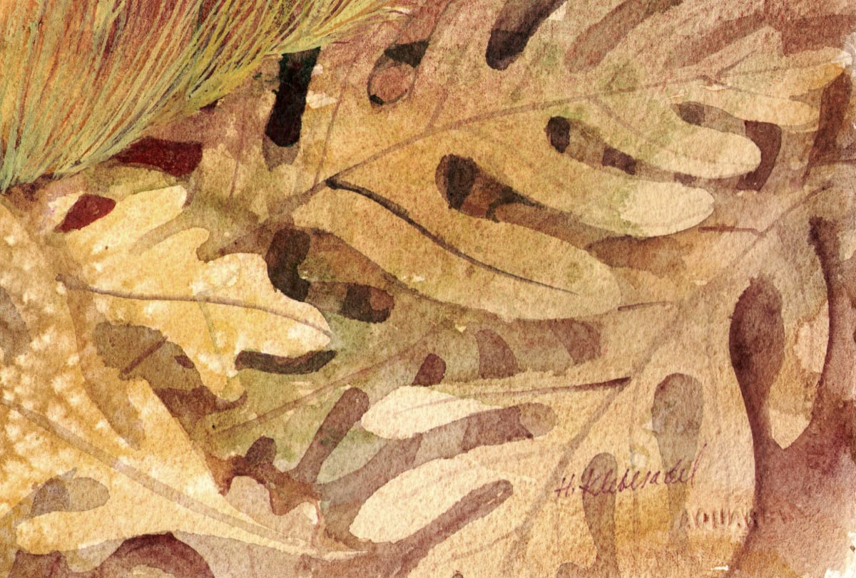 Oak Leaves V and original watercolor by Helen R Klebesadel 