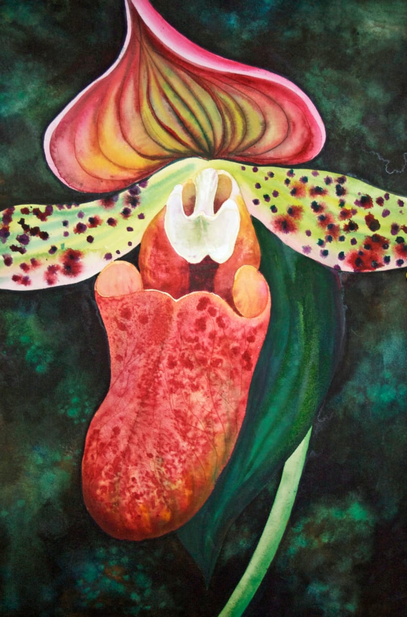 Orchid, an original watercolor by Helen R Klebesadel 