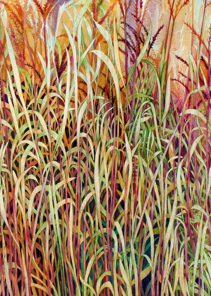 Greeting Card - Prairie Grasses (detail) by Helen R Klebesadel 