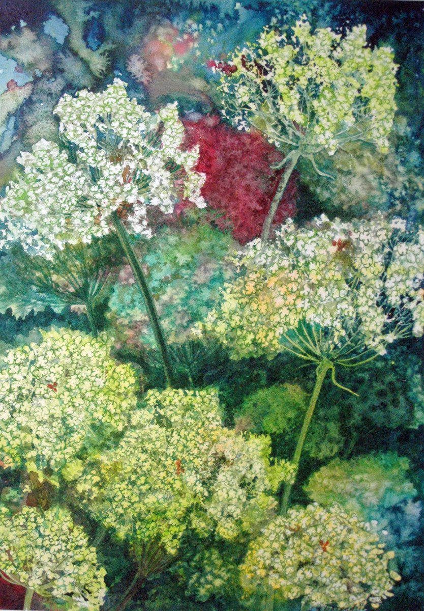 Queen Ann's Lace Study II by Helen R Klebesadel 