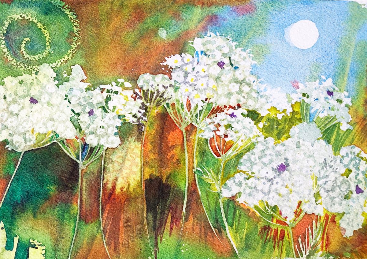Queen Anne's Lace Study IV by Helen R Klebesadel 