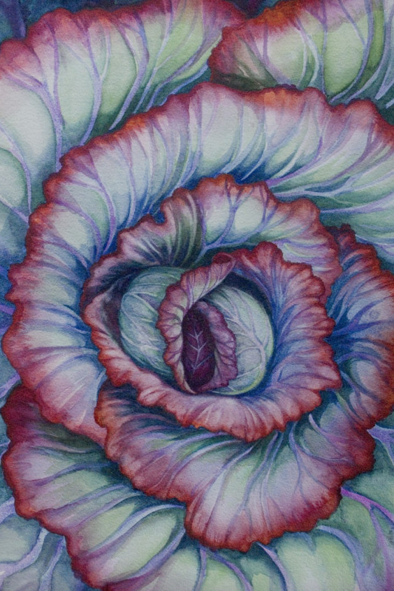 Spiral Cabbage by Helen R Klebesadel 