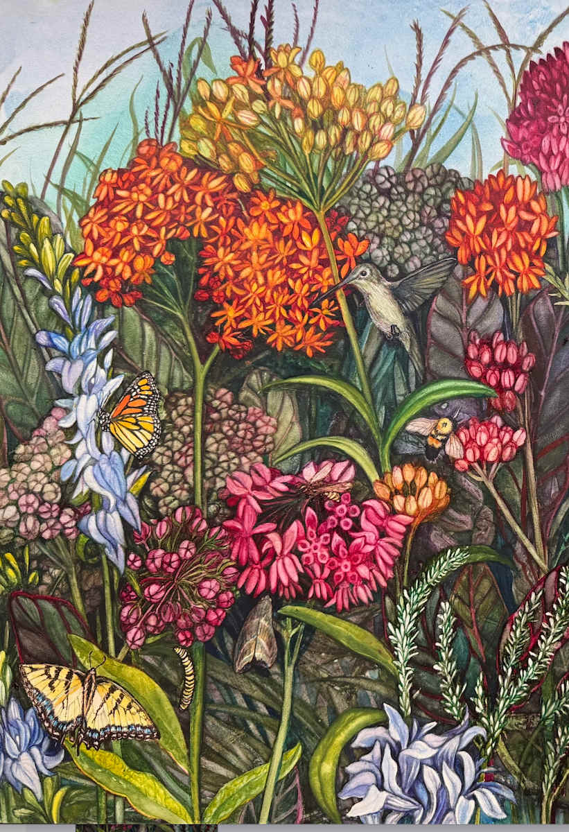 Greeting Cards - Milkweed Prairie (details) by Helen R Klebesadel 