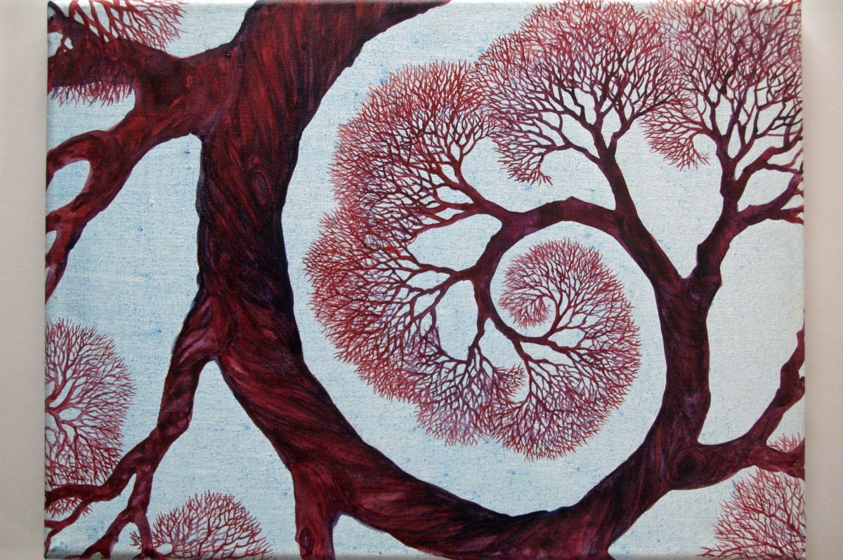 Spiral Branch Study I by Helen R Klebesadel 