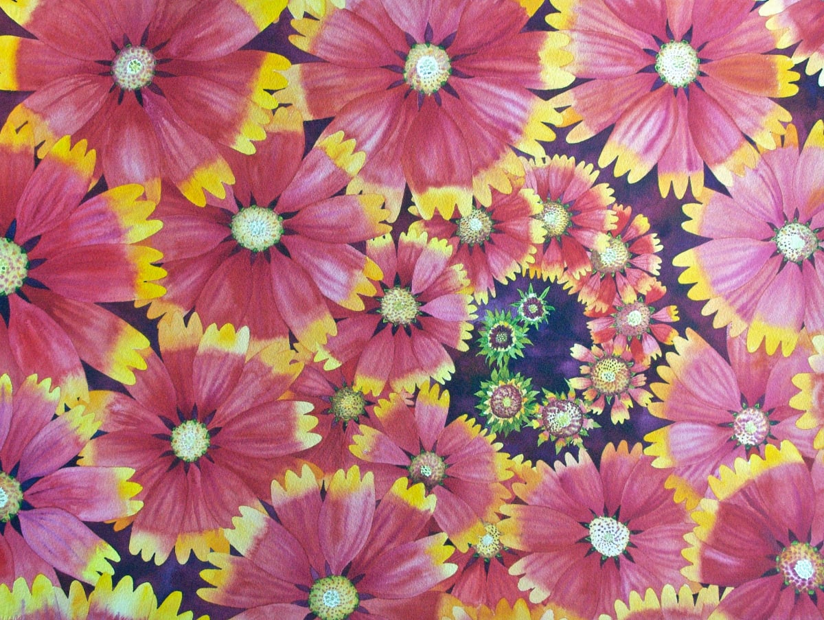 Blanket Flower Spiral by Helen R Klebesadel 