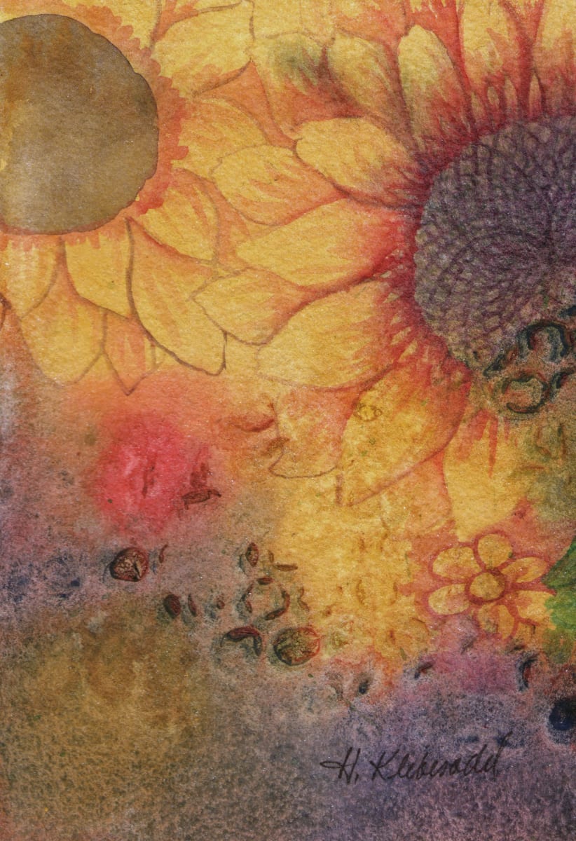 Sunflower Study an original watercolor by Helen R Klebesadel 