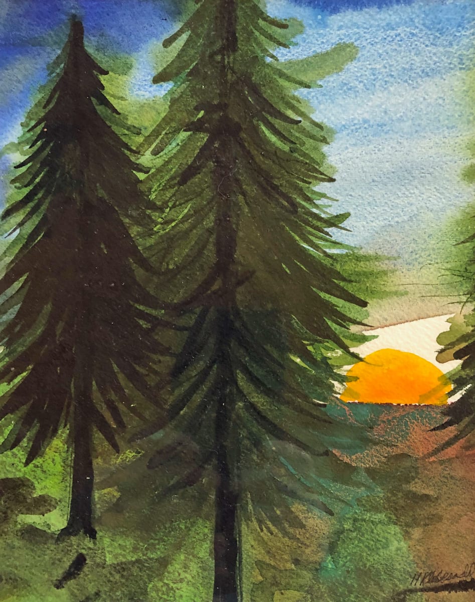 Sunset Pines Study III by Helen R Klebesadel 