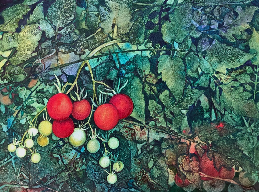 July Tomatos an original watercolor 